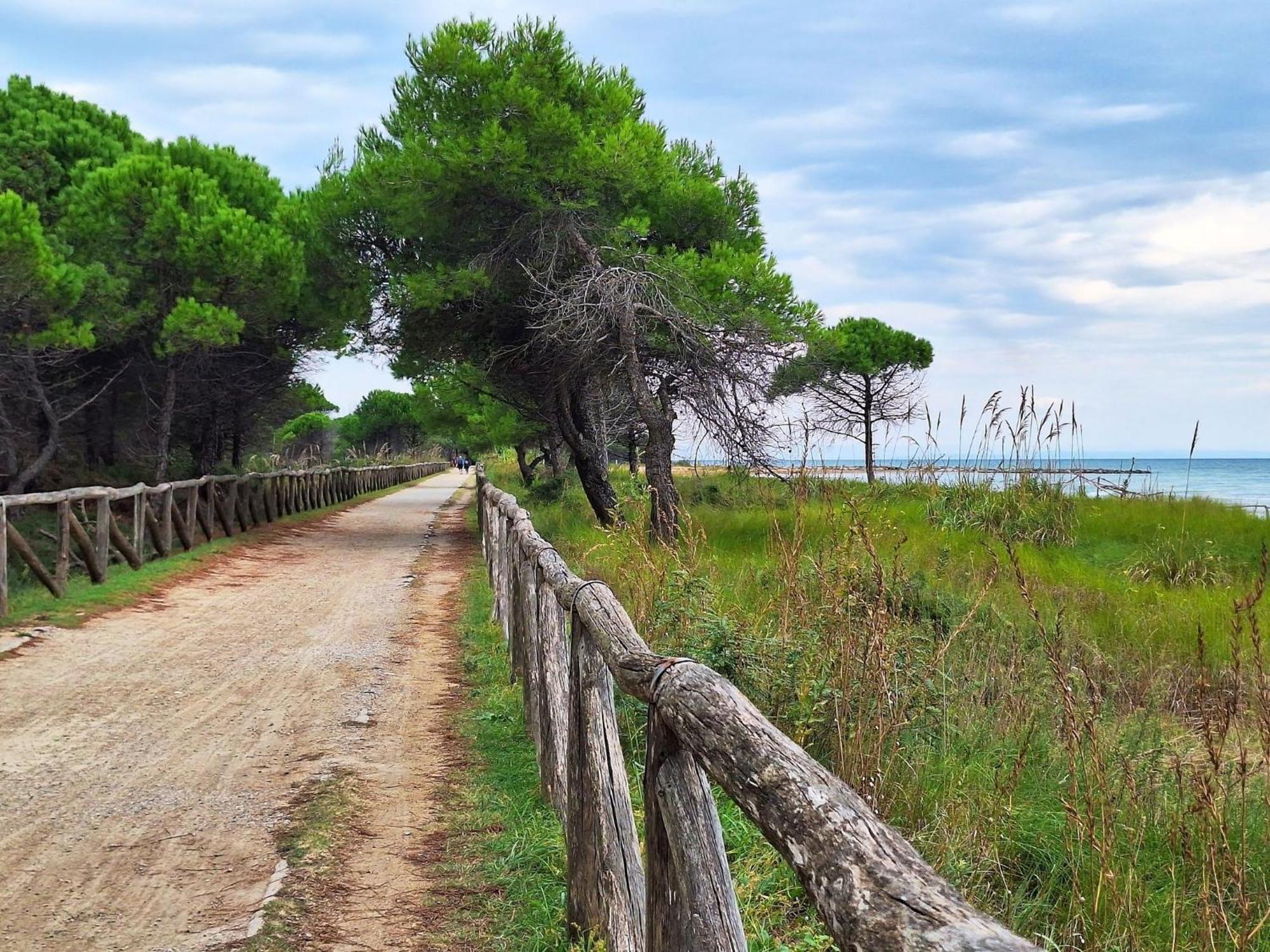 Gorgeous Flat Next To The Sea In Bibione